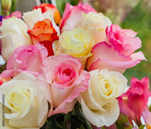 Bouquet of red  white and pink Roses close up