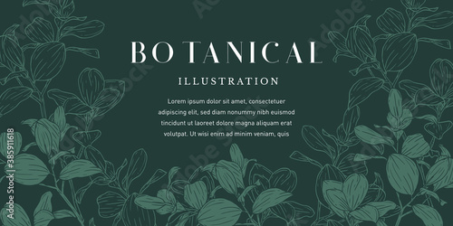 Green Plant Illustration