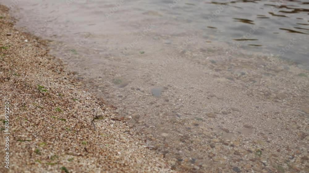 Sea beach - close-up, waves, stones and shells, sand and seaweed. Sea beach - close-up, waves, stones and shells, sand and seaweed.