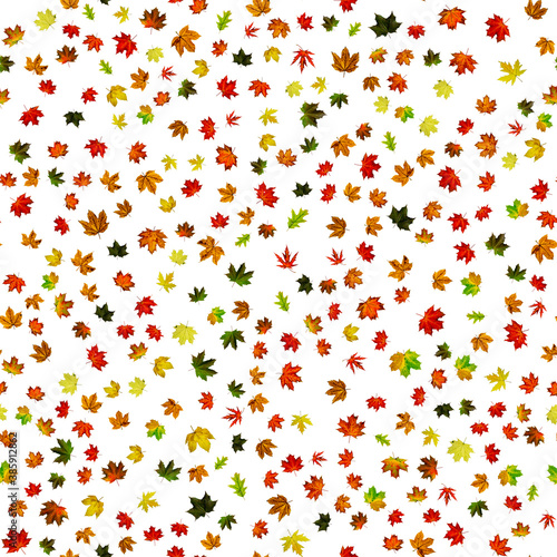 Autumn leaves seamless pattern. Colorful maple foliage. Season leaves fall background. Autumn yellow red, orange leaf isolated on white.