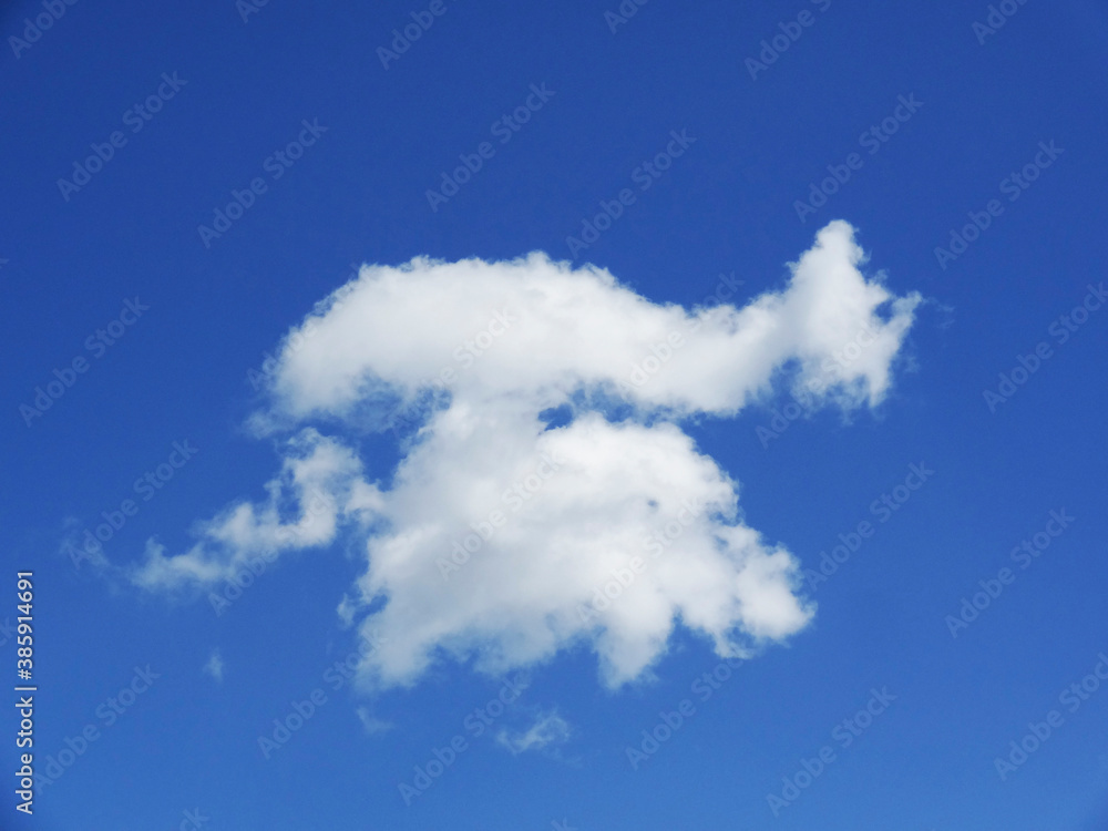 白い雲と青空 白い雲と青空