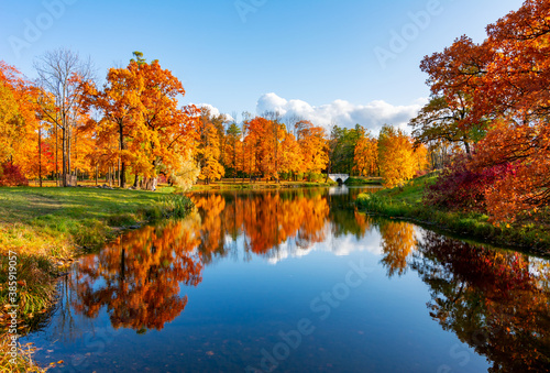 Scenic autumn landscape reflected in water in Alexander park, Pushkin (Tsarskoe Selo), Saint Petersburg, Russia