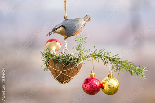 Winter birds on snowy day