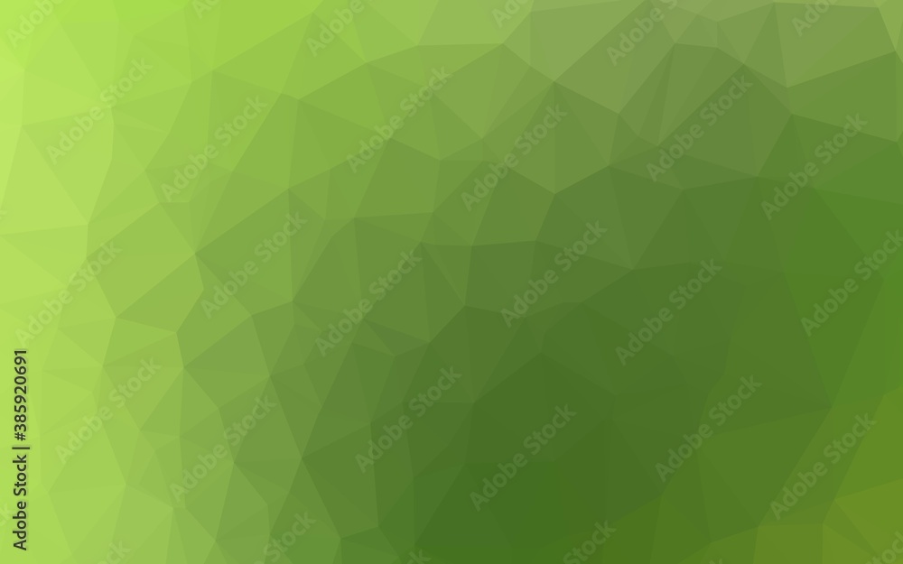 Light Green vector low poly layout.