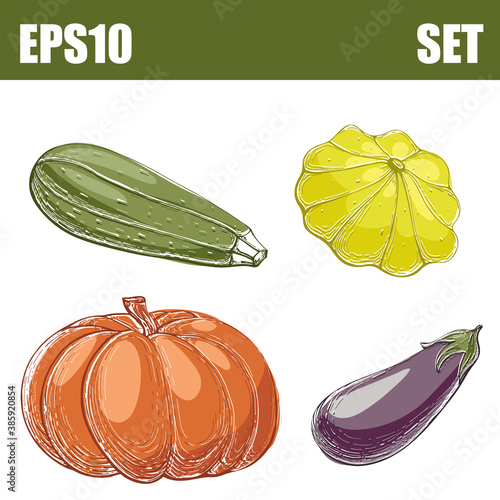 isolated color vegetables set
