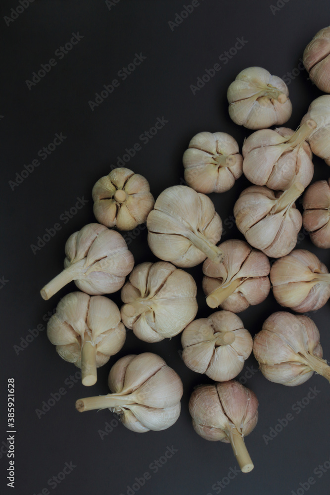 Bulbs of garlic (Allium sativum) on black background. Flat lay concept