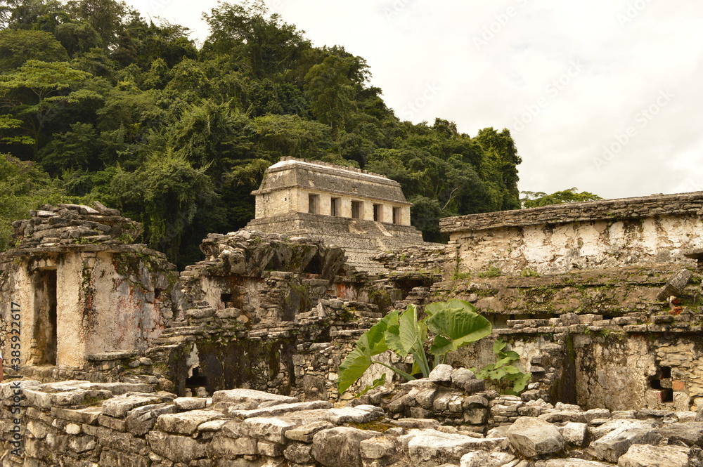 The old ruins of the Mayan town of Palenque in Chiapas, Mexico