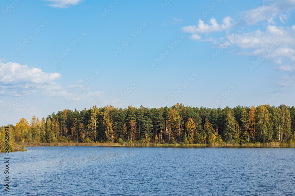 Autumn landscape photo. Far shore of the forest lake against blue cloudy sky. Shore is overgrown with poplars, birches and pines. Foliage is became orange and yellow. Autumn landscape photo. Far shore of the forest lake against blue cloudy sky. Shore is overgrown with poplars, birches and pines. Foliage is became orange and yellow.