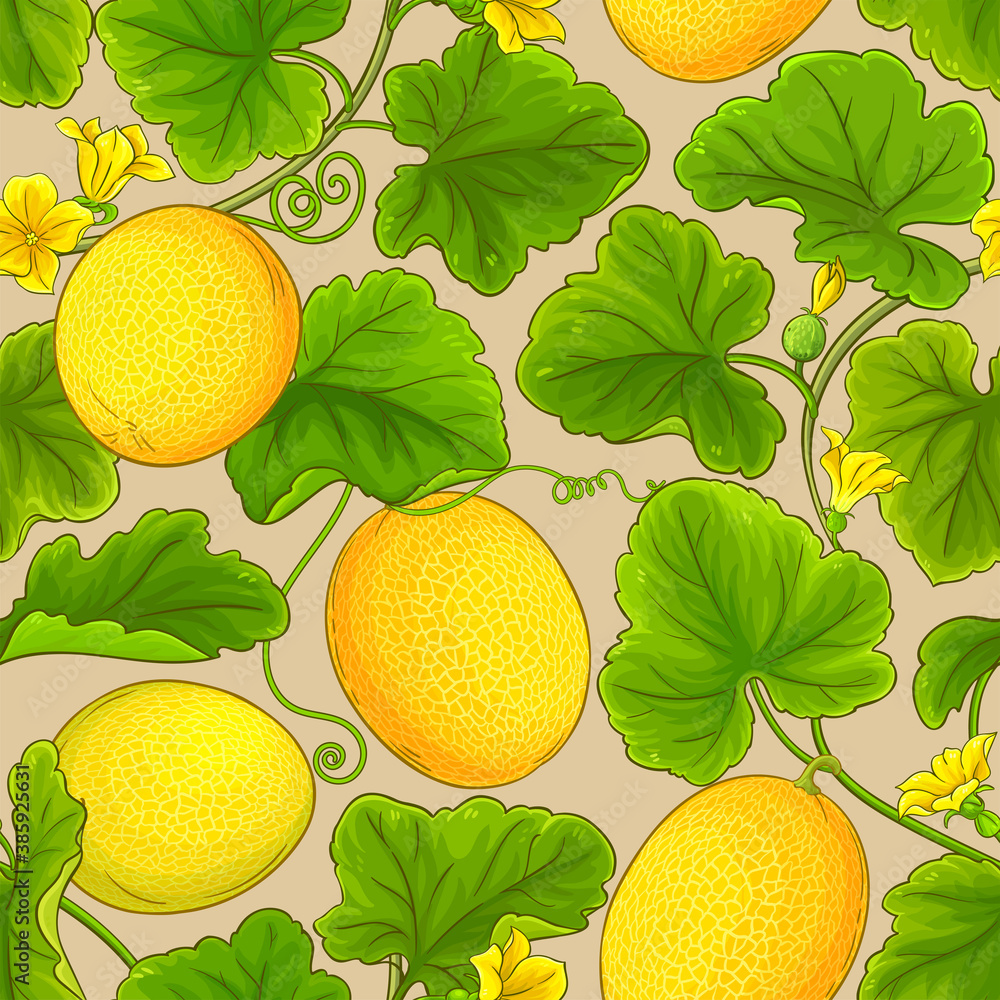 melon vector pattern melon vector pattern
