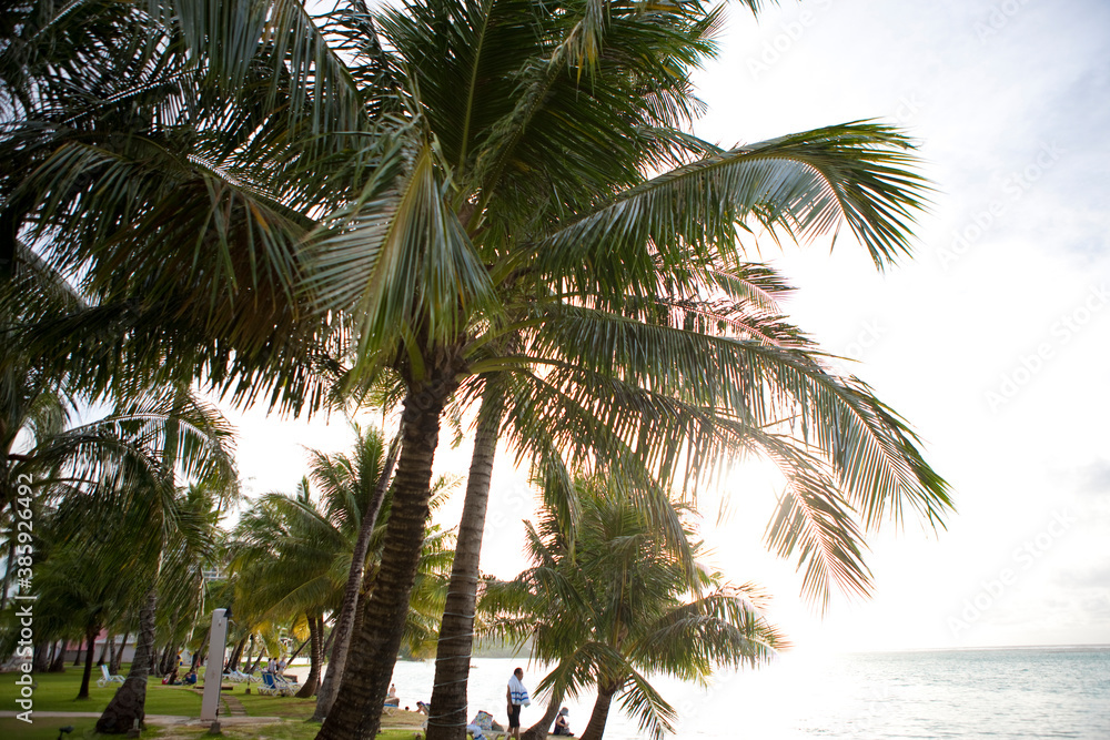 Obraz premium 夕方のビーチ