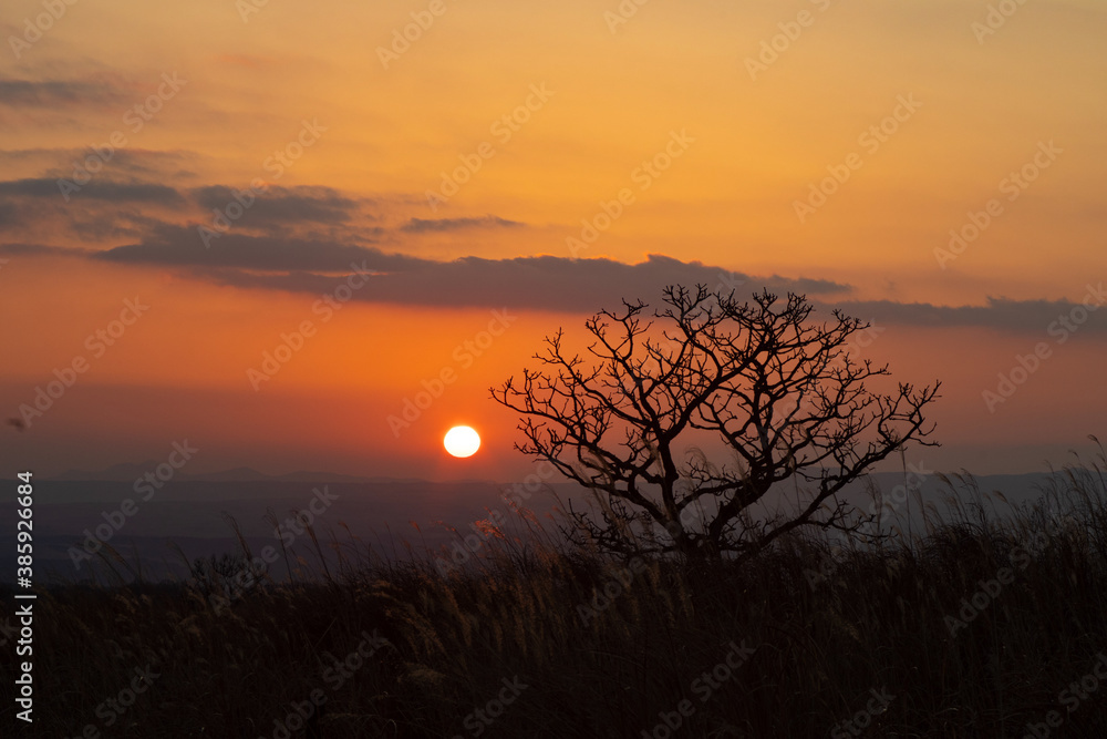 Obraz premium 夕日 阿蘇山