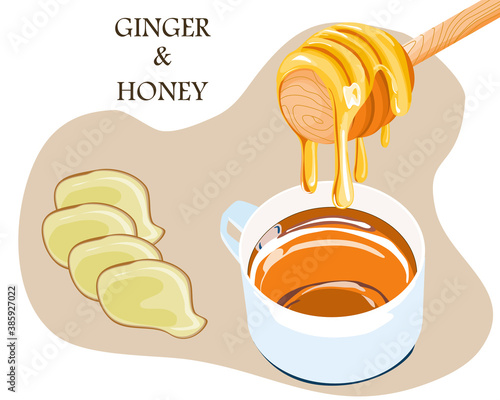 ginger slice and sweet honey and a cup of tea on white background, vector illustration of traditional medicine