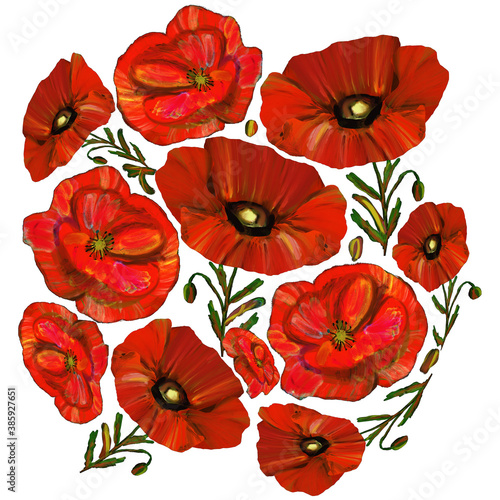 Round set with Red poppy flowers isolated on white background.