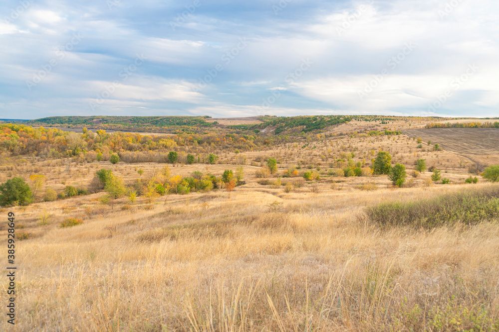 autumn forest landscape with blue sky background autumn forest landscape with blue sky background