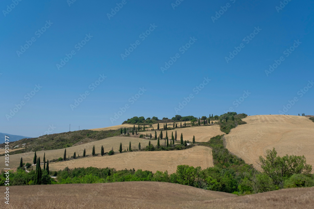 Fototapeta premium Travel in Tuscany. Beautiful and idyllic landscape of a lane of cypresses in the Tuscan countryside in Italy