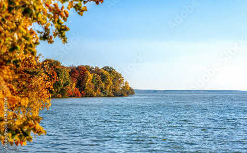 Fall deciduous forest with trees and blue lake. Autumn landscape.