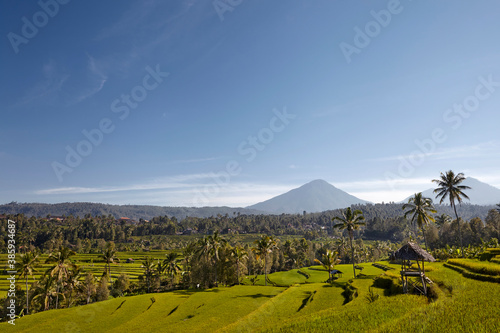 rice terraces, farmland, fields and exuberant jungle vegetation in front of Mount Agung