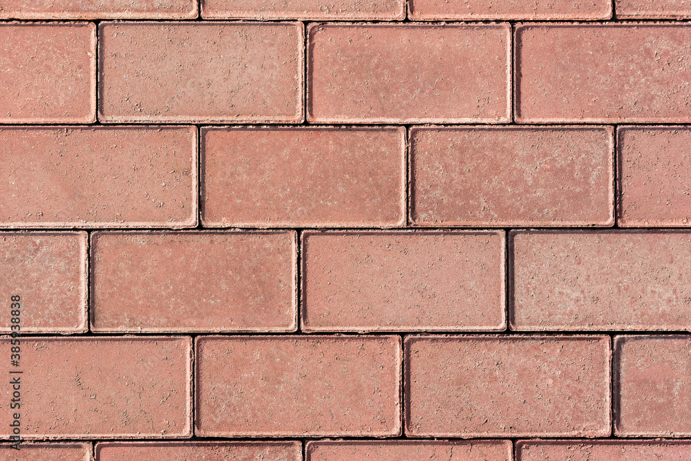 Fototapeta premium the pedestrian path is paved with red paving slabs