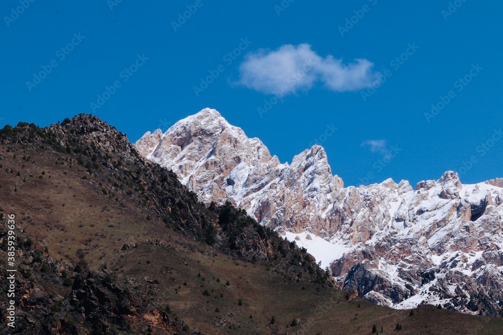 Fototapeta premium landscape with snow