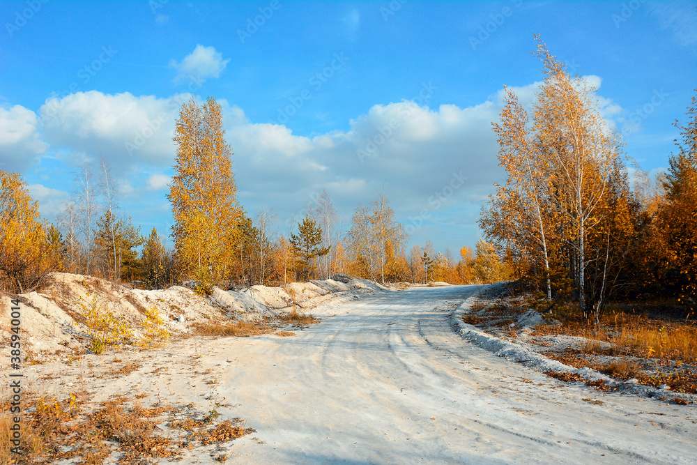 View of a chalk white road in an autumn forest on a clear sunny day. View of a chalk white road in an autumn forest on a clear sunny day.
