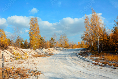 View of a chalk white road in an autumn forest on a clear sunny day.