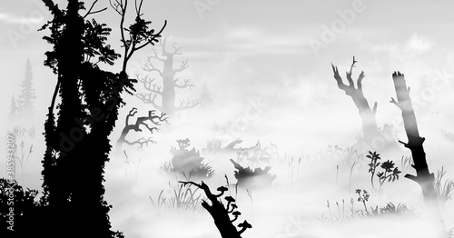 Swamp in the fog art. Black and white silhouette vector illustration of the bog with trees, fungus, stumps, grass, mist, plants, woods at morining.