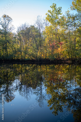 Beautiful abstract symmetric reflection of autumn woods in a tranquil lake  with copy space.