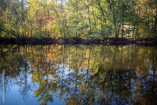 Autumn colors blaze on across the lake, gorgeous meditative image with copy space.