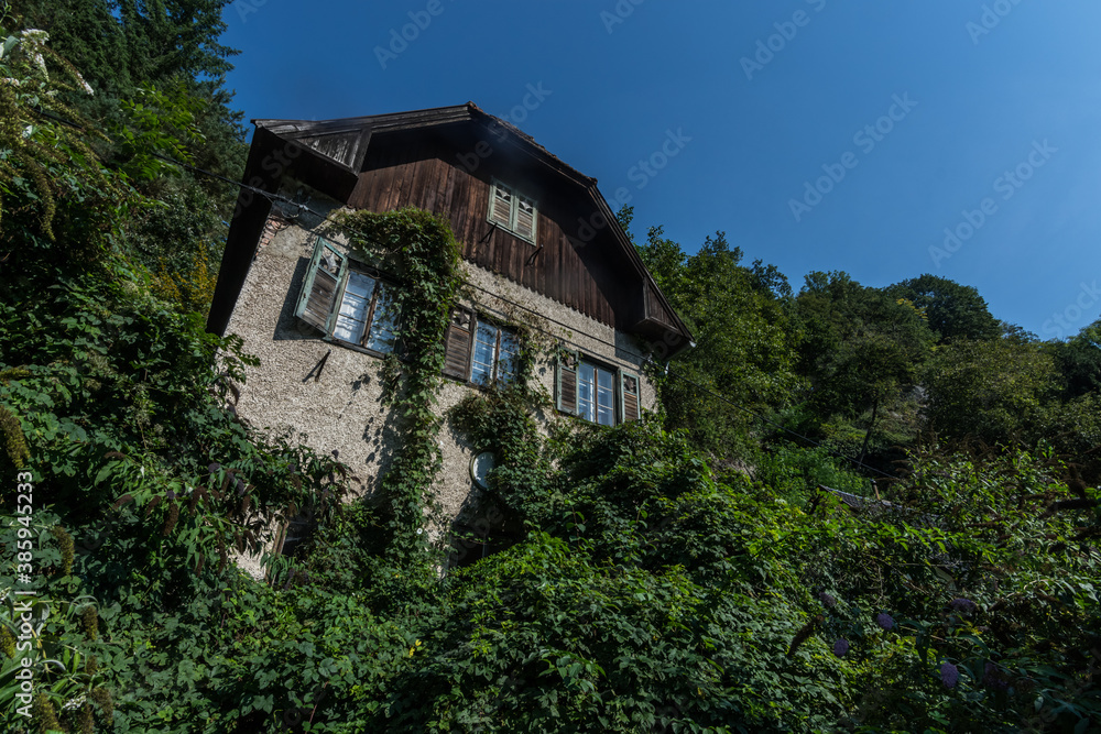 overgrown old house in the forest with sky