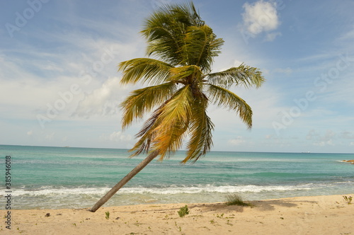 The islands and beaches of the Caribbean paradise on Antigua and Barbuda photo