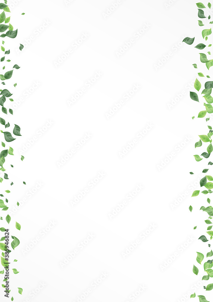 Mint Leaves Ecology Vector White Background 
