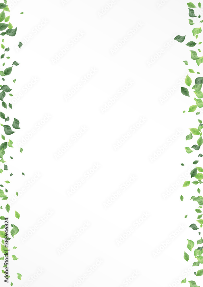 Mint Leaves Ecology Vector White Background Mint Leaves Ecology Vector White Background