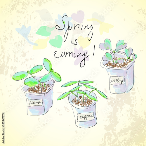 Sketch vegetable sprouts set