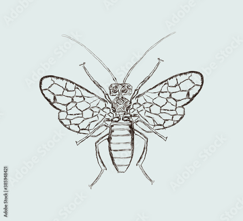 Vintage Bee sketch icon Logo vector eps