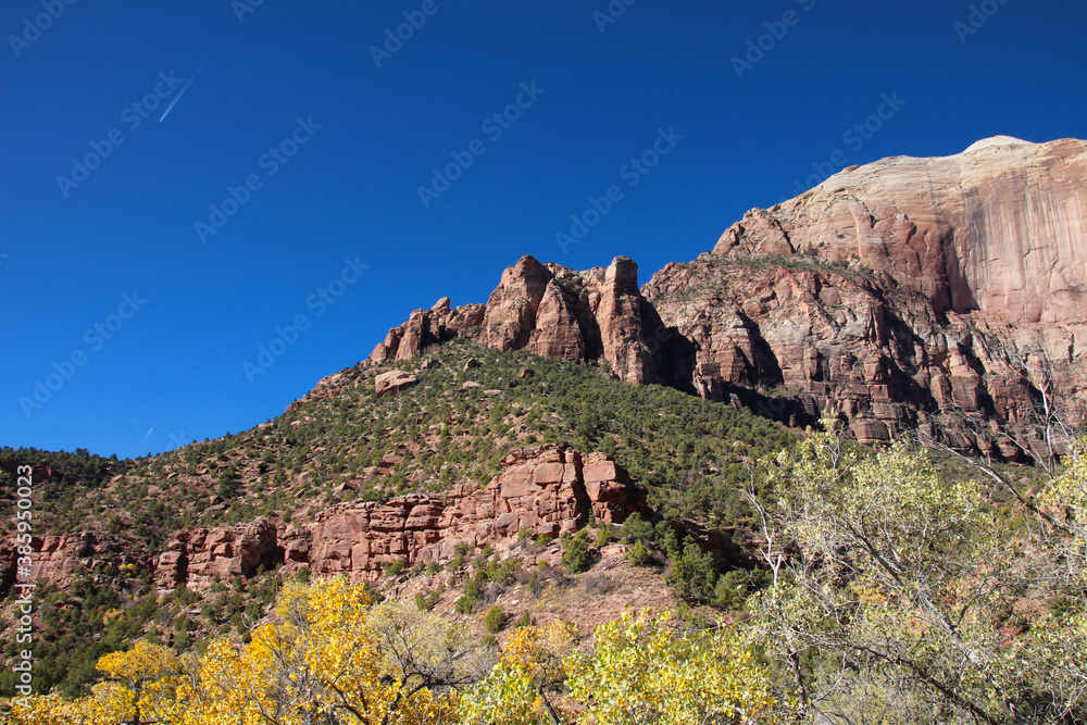 Fototapeta premium Autumn in the Zion National Park, Utah, USA