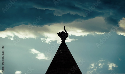 Silhouette of a cat on the roof of the building. Detail of Cat House in the center of Riga, Latvia.