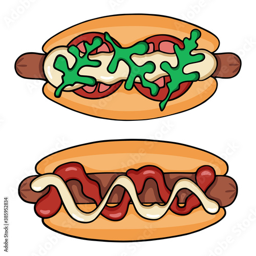 Vector color illustration in hand-drawn style: two hot dogs