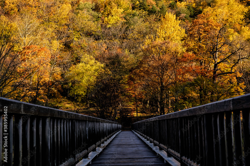 An old bridge leading to Autumn Leaves at Sounkyo in Hokkaido, Japan An old bridge leading to Autumn Leaves at Sounkyo in Hokkaido, Japan