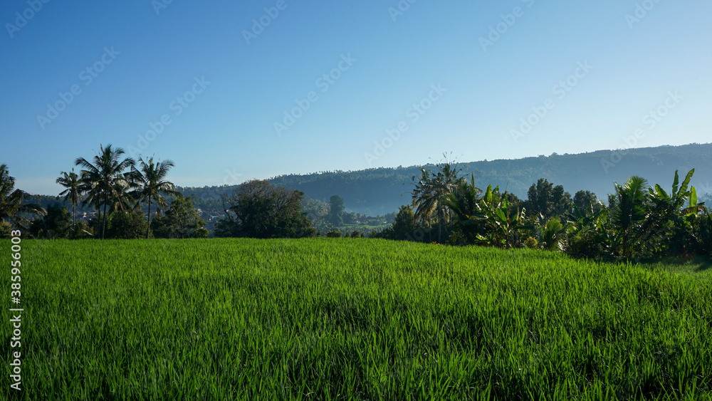 Obraz premium landscape with trees and mountains
