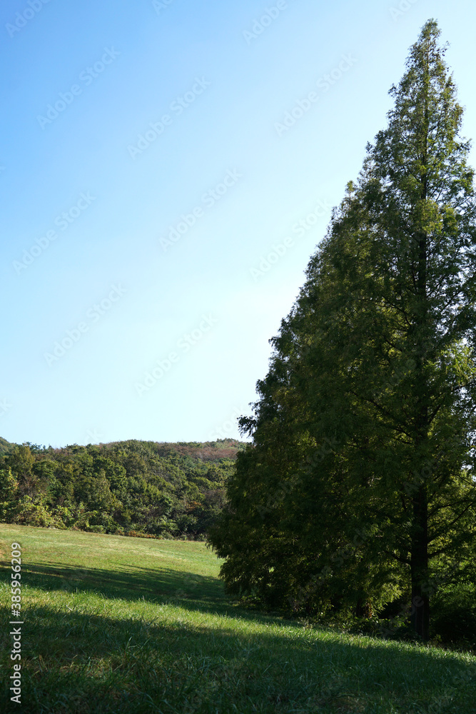 Beautiful fields and trees on October 17, 2020