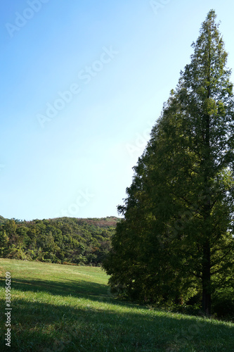 Beautiful fields and trees on October 17, 2020