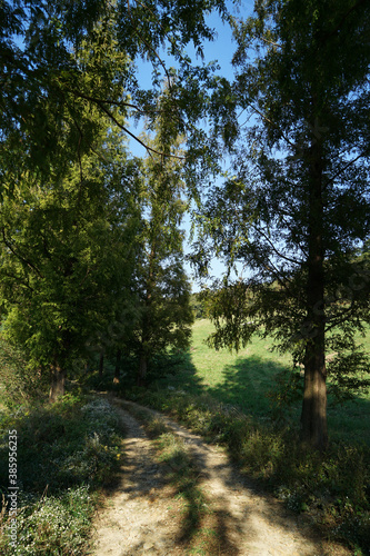October 17, 2020, entrance into the forest