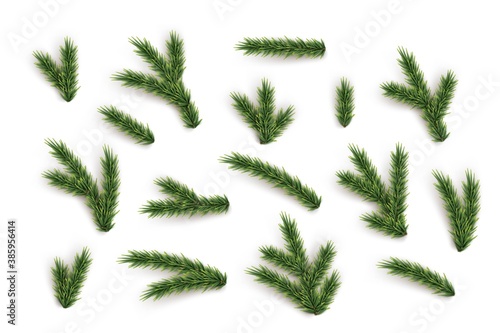 Fir tree branches and elements set. Vector green Christmas tree parts collection.
