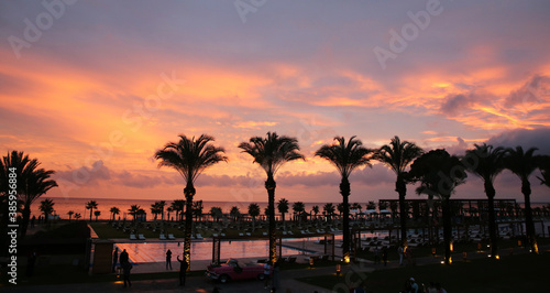 Palm Trees on the Beach at Sunset Antalya,Turkey