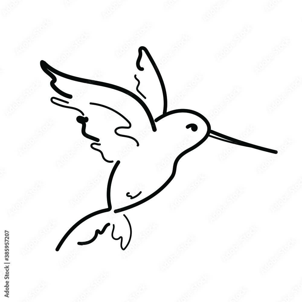 Hummingbird vector line drawing illustration. Simple black linear ...
