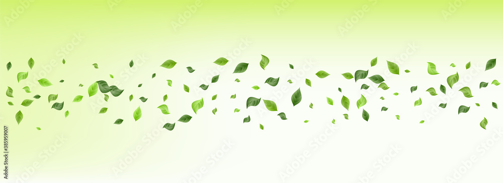 Forest Greenery Spring Vector Green Background Forest Greenery Spring Vector Green Background