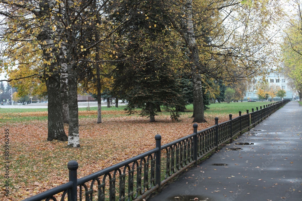 autumn city park road puddles fence maple birch autumn city park road puddles fence maple birch