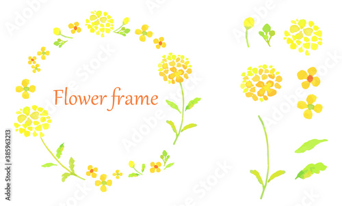 菜の花のフレーム　水彩イラストのトレースベクター