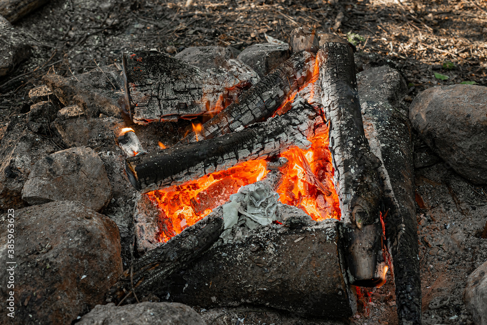 Flames of a bonfire in the forest in nature, photo of camping Flames of a bonfire in the forest in nature, photo of camping