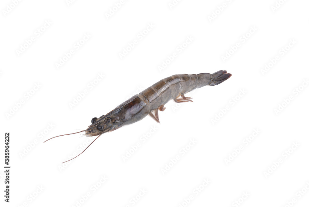 fresh shrimp isolated on white background